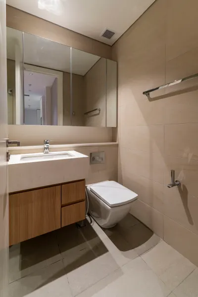 TRX Residence — Home 01 interior photo of vanity, mirror cabinet in bathroom