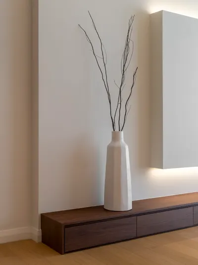 TRX Residence — Home 02 interior photo of TV cabinet, feature wall in living