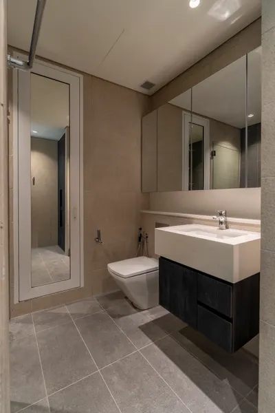 TRX Residence — Home 02 interior photo of vanity, mirror cabinet in bathroom